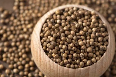 Coriander seeds 库存照片
