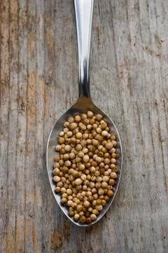 Coriander seeds Stock Photos
