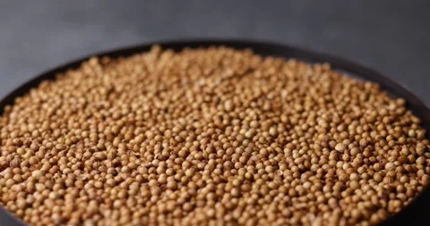 Coriander seeds rotating macro loop tilt shift close up video Video stock 320979403