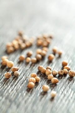 Coriander spice Foto stock