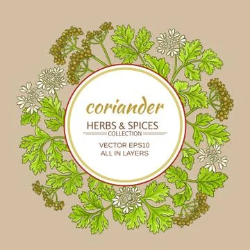 Coriander vector frame Stock Illustration