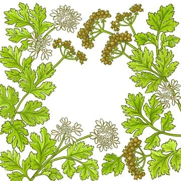 Coriander vector frame Stock Illustration