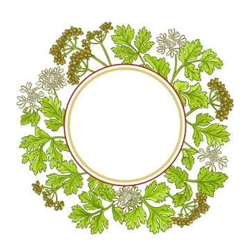 Coriander vector frame Illustrazione stock