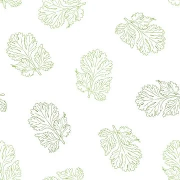 Coriander vector hand drawn illustration seamless pattern. Stock Illustration
