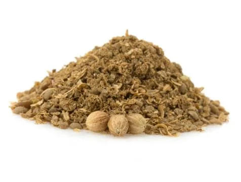 Coriander on white background Stock Photos