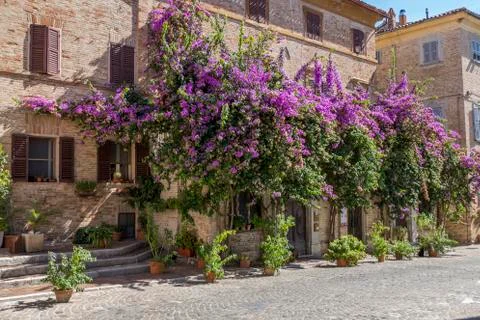 Corinaldo Foto stock