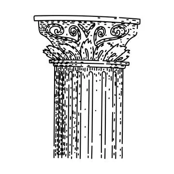 Corinthian column capital classical architecture line drawing Stock Illustration