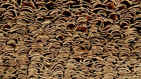 Cork #1 Stock Footage 32631914