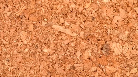 Cork background texture. Brown yellow color of cork board textured backdrop Stock Footage 300499145