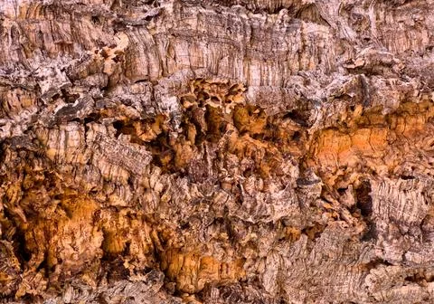 Cork bark tree texture abstract brown pattern background Stock Photos