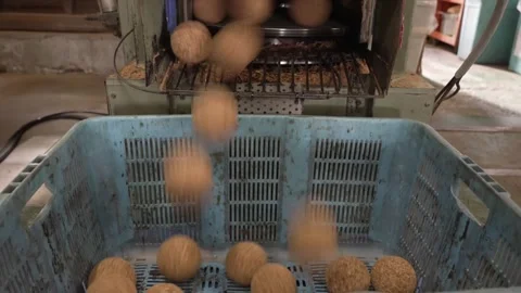 Cork Baseball Cores Dropping From Machine Into Blue Basket Stock Footage 339736415