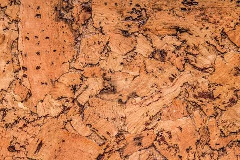 Cork board, for backgrounds Stock Photos