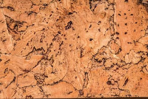 Cork board, for backgrounds Stock Photos