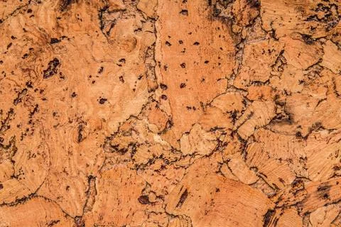 Cork board, for backgrounds Stock Photos