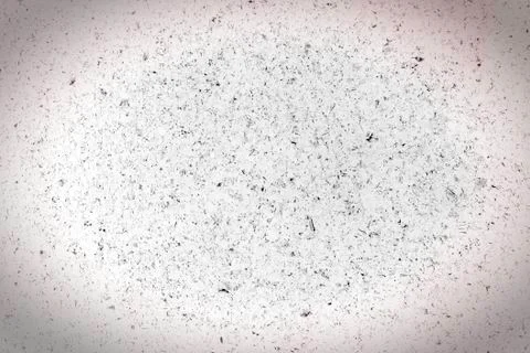 Cork board texture Stock Photos