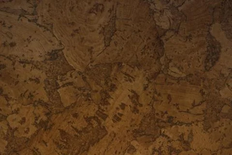 Cork cover. Stock Photos