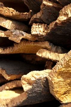 Cork crust Stock Photos