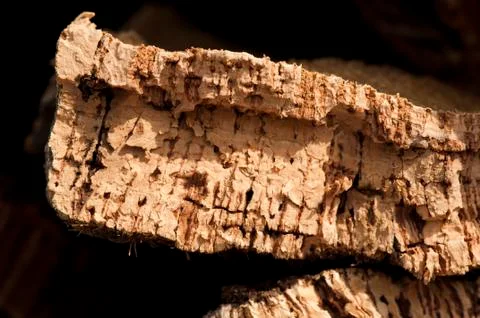 Cork crust Stock Photos