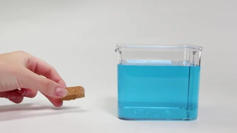 Cork Floating in Water Science Experiment Vídeos de archivo 308434431