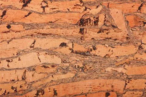 Cork material texture abstract Stock Photos