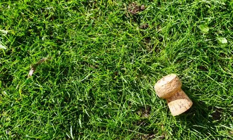 Cork object on the grass Stock Photos