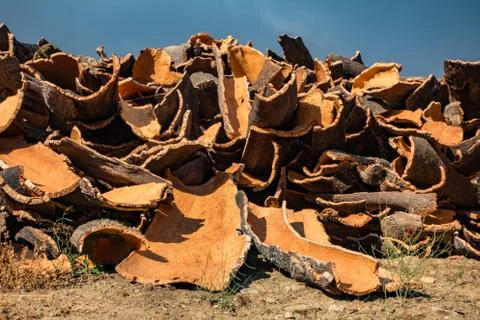 Cork pile Stock Photos