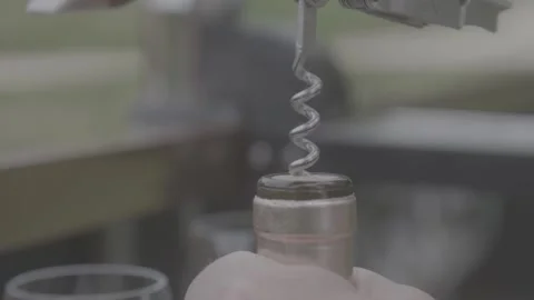 Cork removal Stock Footage 163442480