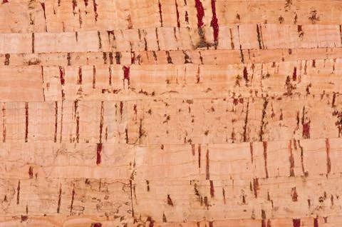 Cork striped sheet texture abstract Stock Photos