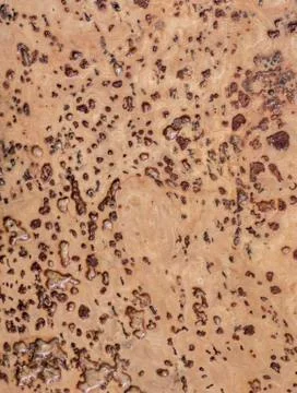Cork texture background Stock Photos