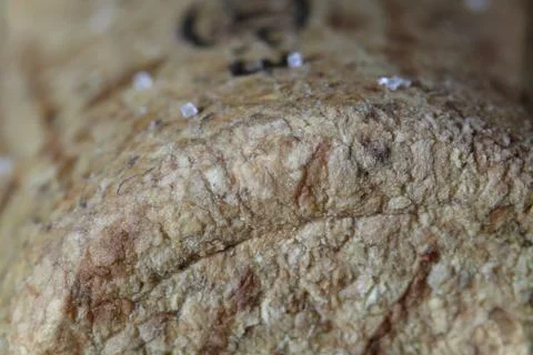 Cork texture, cork board background close up Stock Photos