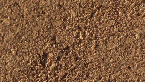Cork Texture (Macro) Video stock 104384810