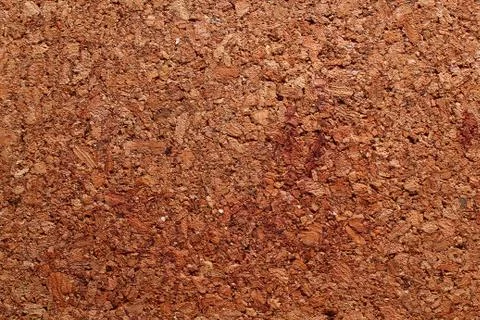 Cork texture 스톡 사진