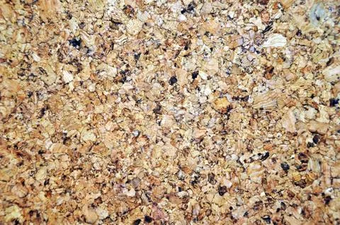 Cork texture Stock Photos
