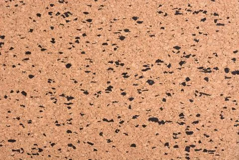 Cork texture. Stock Photos