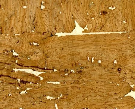 Cork texture Stock Photos