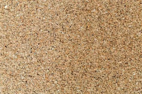 Cork tree as background macro Stock Photos