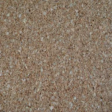 Cork tree texture in daylight Stock Photos