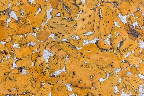 Cork Wall Background Stock Photos