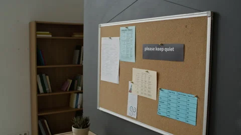 Corkboard with English Language Lessons Hanging on Classroom Wall Stock Footage 337477045