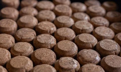 Corks from wine and champagne in the same plane Stock Photos