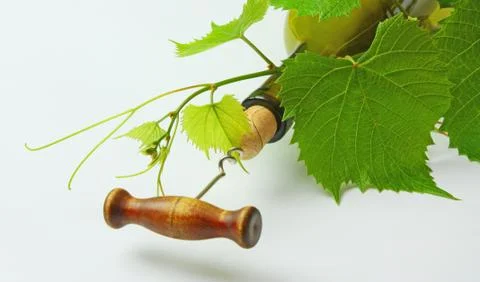 Corkscrew and cork 스톡 사진