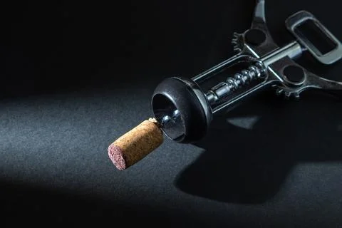 Corkscrew on a dark background. Wine cork on a corkscrew on a black background.  Stock Photos