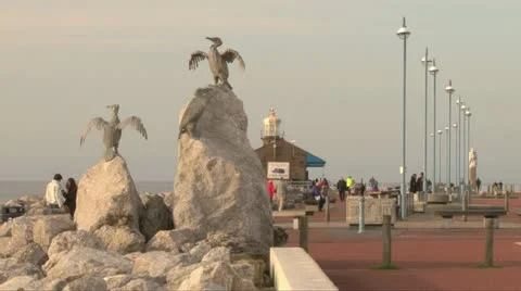 Cormorant Statues Stock Footage 11129490
