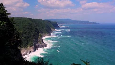 The Cormorant's Cliff Video stock 332284549