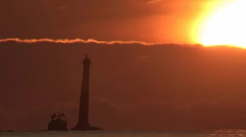 Cormorants at Dawn 库存影片 10704114