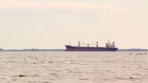 Cormorants flying in front of cargo ship Stock Footage 40675268
