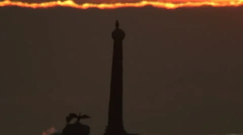 Cormorants 库存影片 10704057