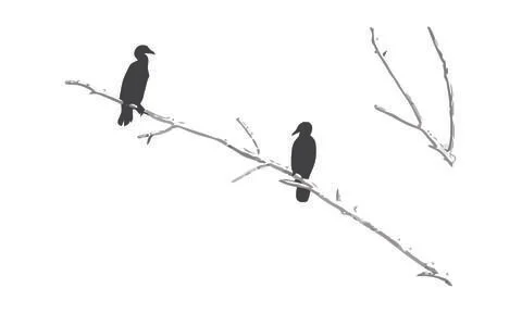 Cormorants vector file | Editable file Illustrazione stock