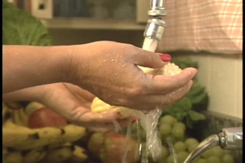 Corn - 005150009 Video stock 845752