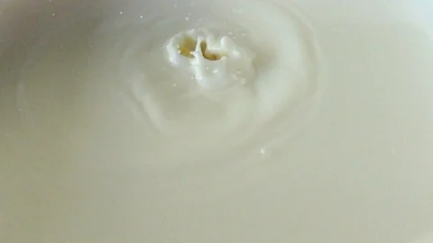 Corn agrees in fresh milk with video slow motion, 動画素材 109475082